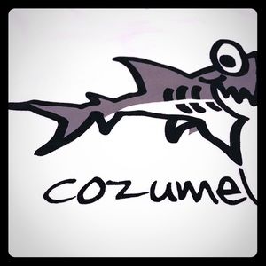 NWOT🏝TROPICAL RELAX COZUMEL TEE KIDS XL